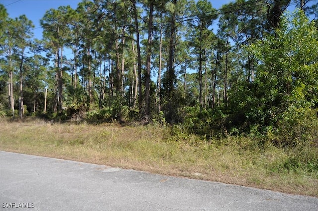 406 Columbus Ave, Lehigh Acres FL, 33972 land for sale