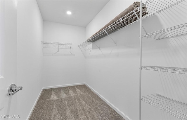 spacious closet with carpet flooring