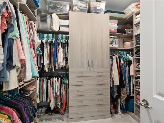 view of spacious closet