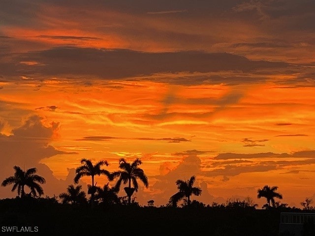 view of nature at dusk