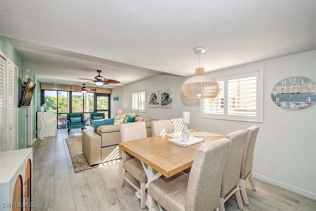 dining space featuring ceiling fan and light hardwood / wood-style flooring