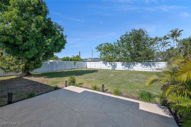view of yard with a fenced backyard and a patio area