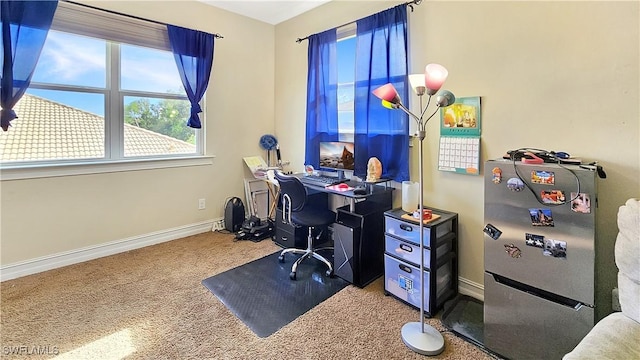 office space with carpet floors and baseboards