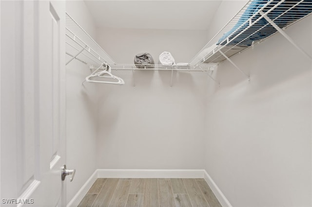 walk in closet with hardwood / wood-style floors