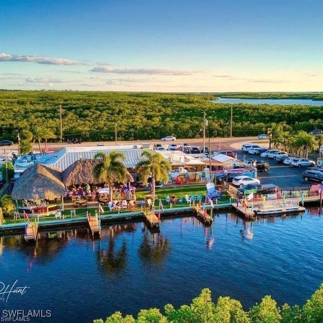 drone / aerial view featuring a water view