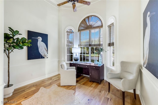 office with light hardwood / wood-style flooring and ceiling fan