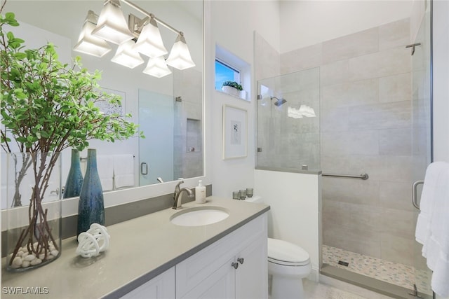 bathroom with vanity, an enclosed shower, and toilet