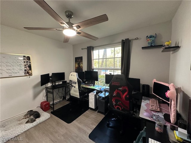 office space featuring ceiling fan and light hardwood / wood-style flooring