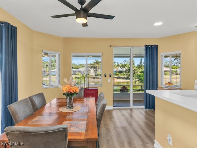 dining area with ceiling fan, a healthy amount of sunlight, and light hardwood / wood-style floors