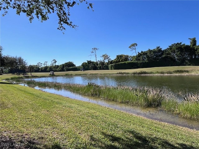 property view of water