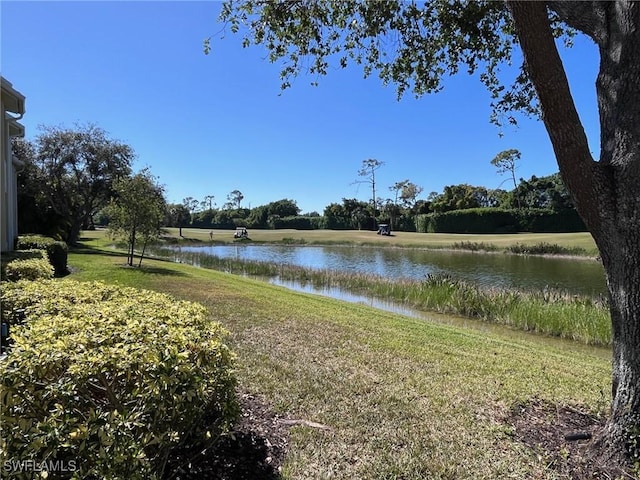 view of water feature