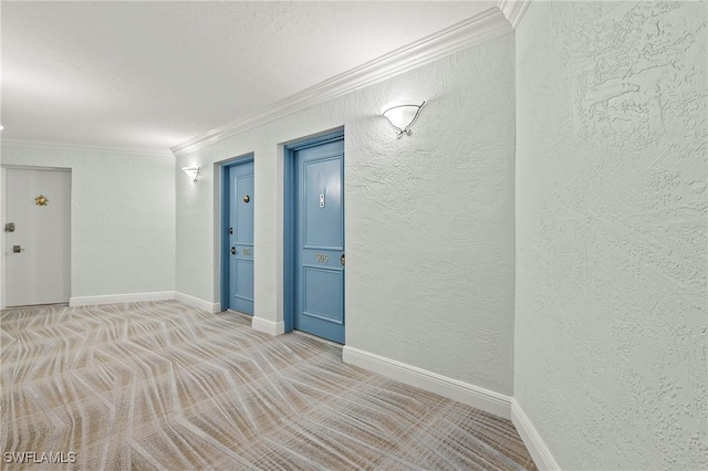 carpeted spare room featuring ornamental molding