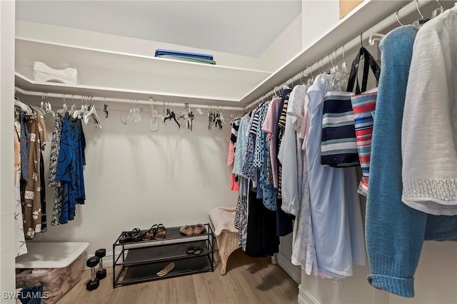 walk in closet with hardwood / wood-style flooring