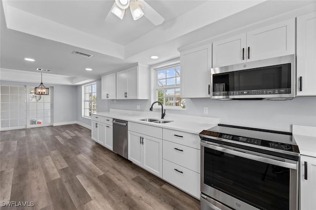 kitchen with a raised ceiling, sink, white cabinets, and stainless steel appliances