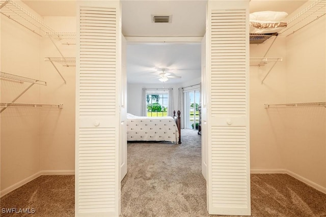 interior space featuring ceiling fan, carpet floors, and a closet