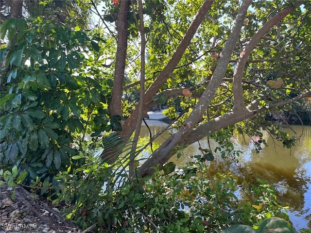 view of nature featuring a water view