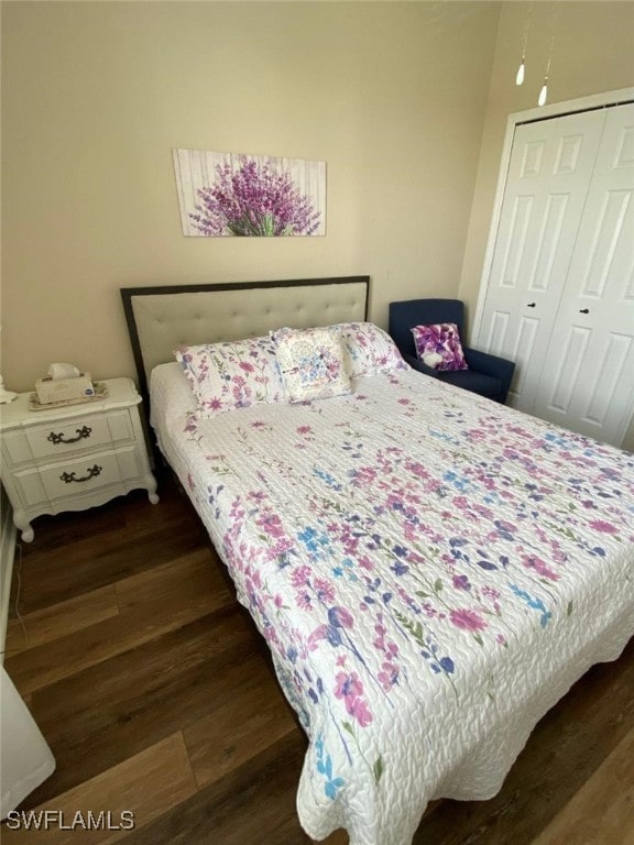 bedroom featuring dark hardwood / wood-style flooring and a closet