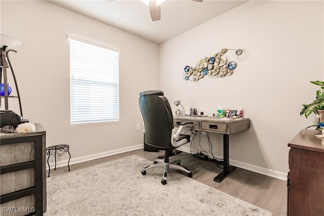 office featuring ceiling fan and light hardwood / wood-style floors