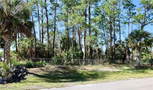 31st St SW, Naples FL, 34117 land for sale