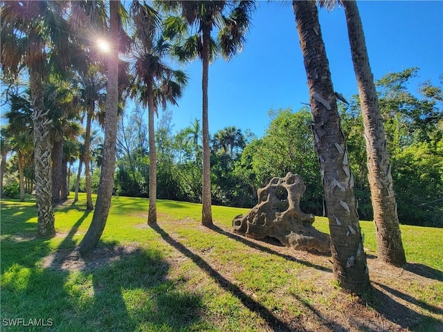 view of community with a lawn