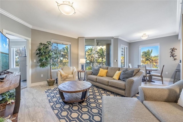 living room with crown molding