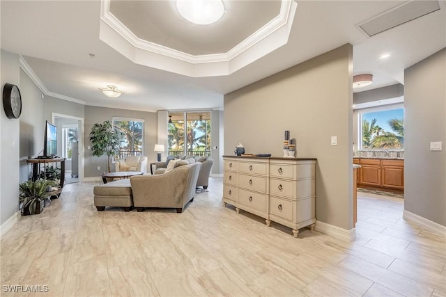 living room featuring a raised ceiling, ornamental molding, and sink