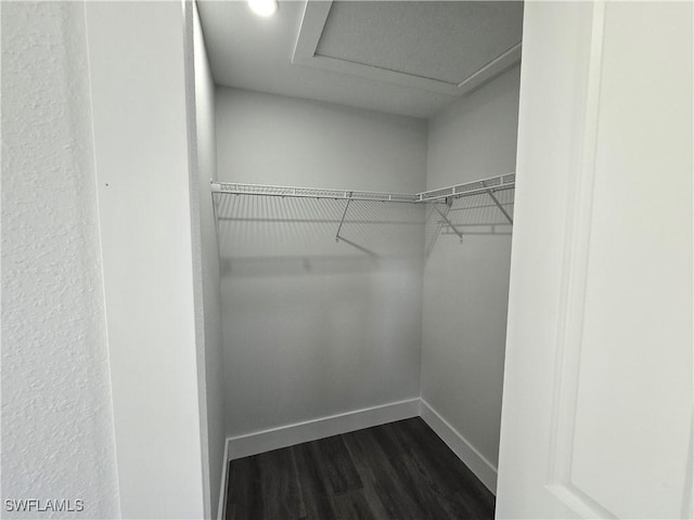 spacious closet with dark hardwood / wood-style flooring