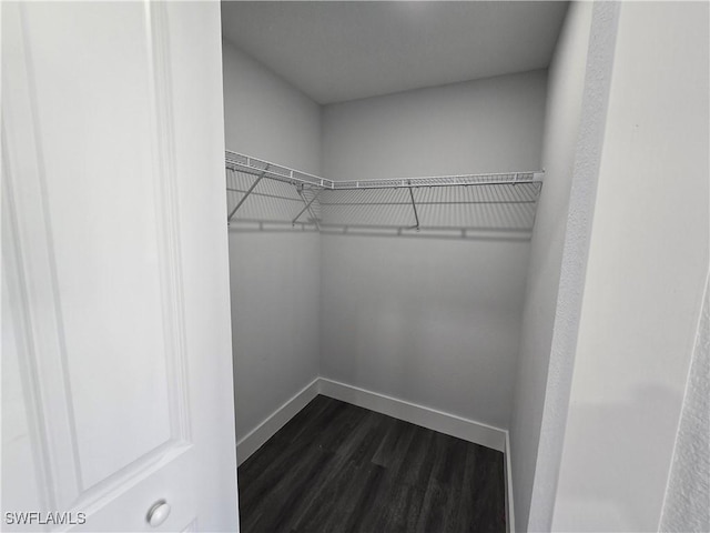 walk in closet with dark wood-type flooring