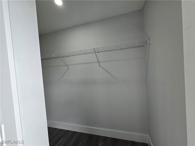 walk in closet featuring dark hardwood / wood-style flooring