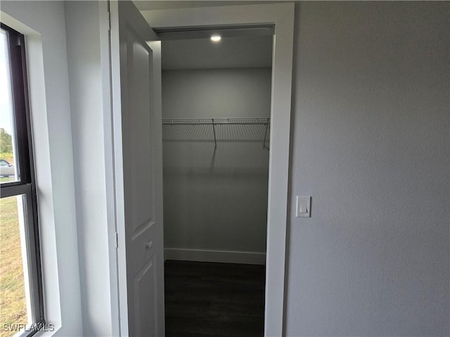 spacious closet with dark hardwood / wood-style floors