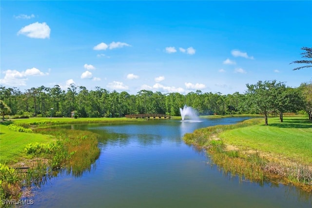 property view of water