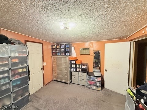 storage room featuring a wall mounted air conditioner