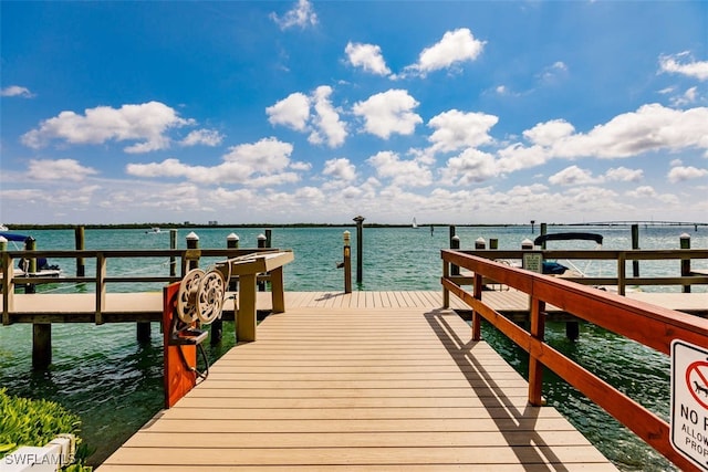 dock area with a water view