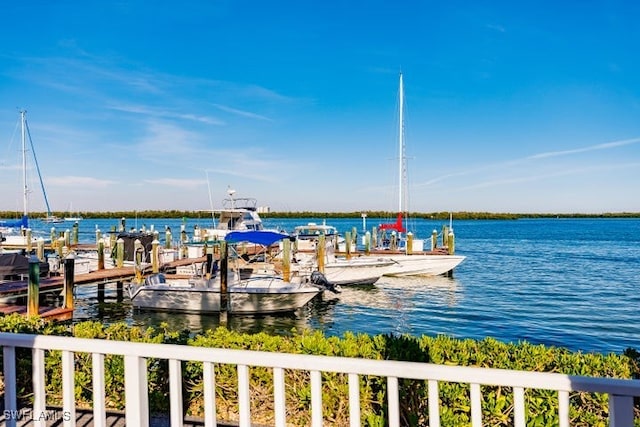 property view of water with a dock