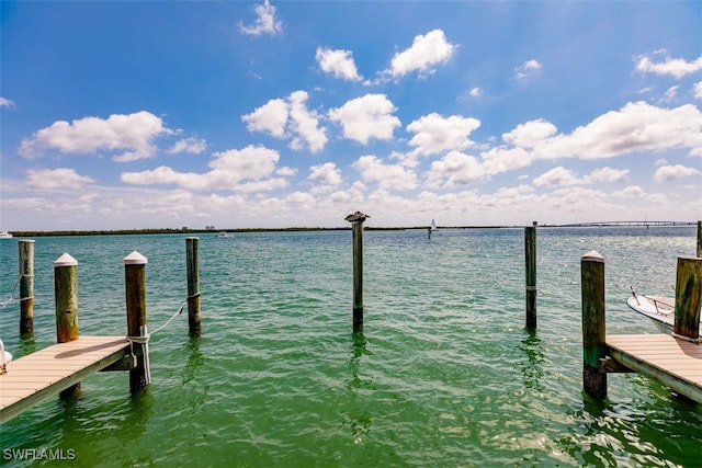 dock area with a water view