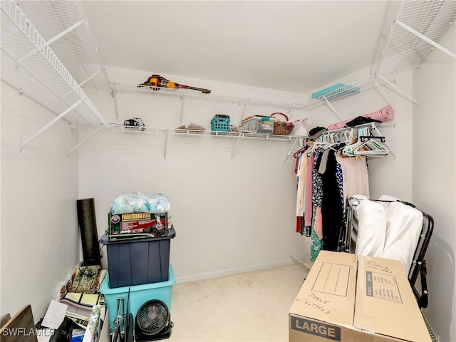 spacious closet featuring carpet floors