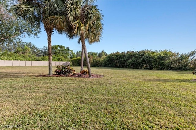 14712 Calusa Palms Dr Unit 103, Fort Myers, FL 33919 - view of yard
