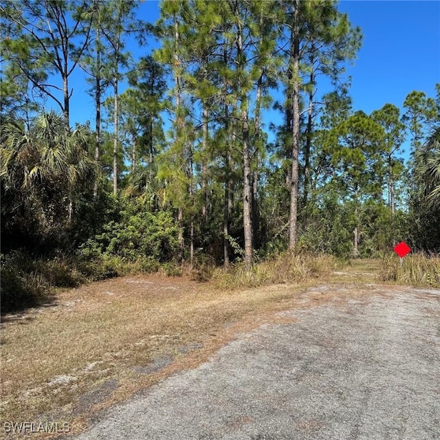 2321 Irving Ave, Alva FL, 33920 land for sale