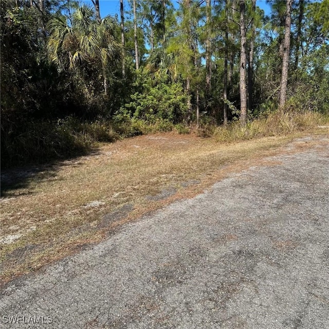 Listing photo 3 for 2321 Irving Ave, Alva FL 33920