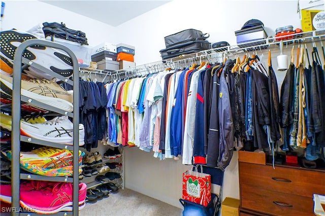 spacious closet featuring carpet flooring