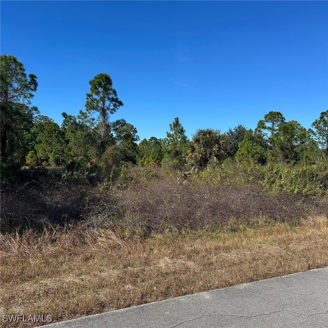 1907 Wells Ave, Lehigh Acres FL, 33972 land for sale