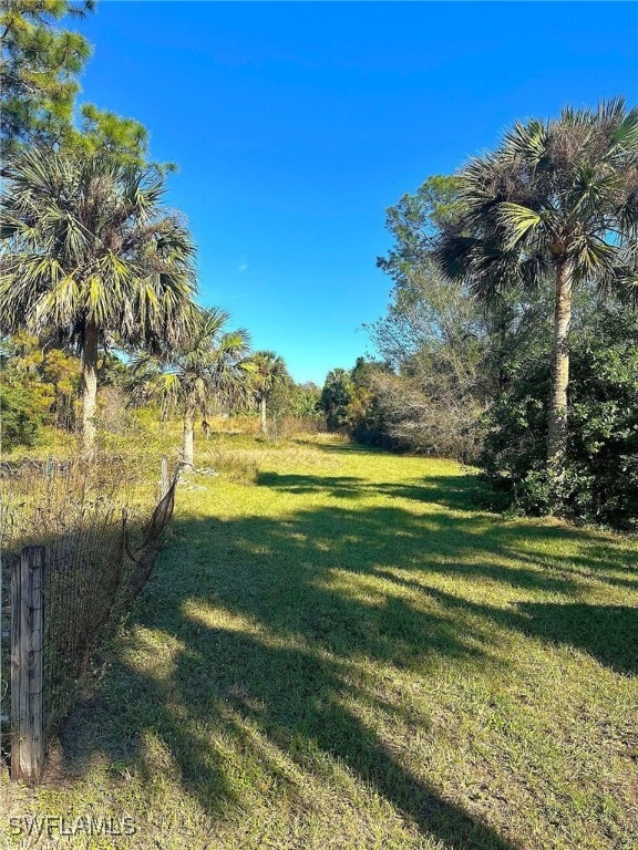 view of yard