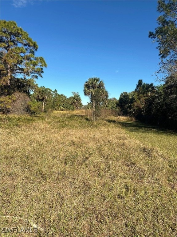 view of local wilderness with a rural view