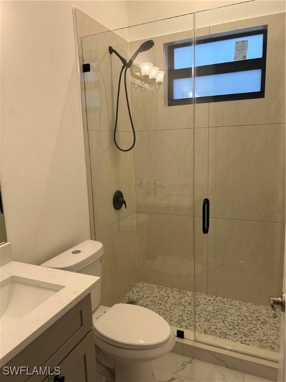 bathroom with vanity, toilet, and an enclosed shower