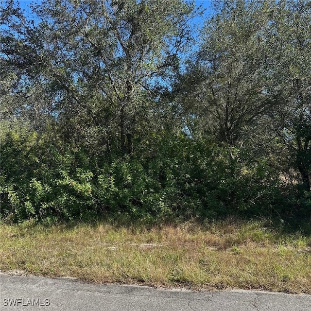 1806 Grant Ave, Lehigh Acres FL, 33972 land for sale