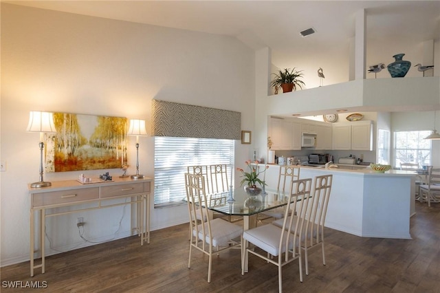 dining room featuring dark hardwood / wood-style floors and high vaulted ceiling