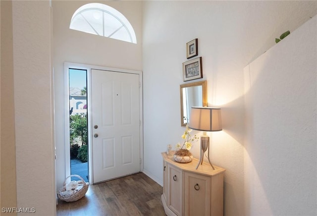 foyer featuring dark hardwood / wood-style flooring