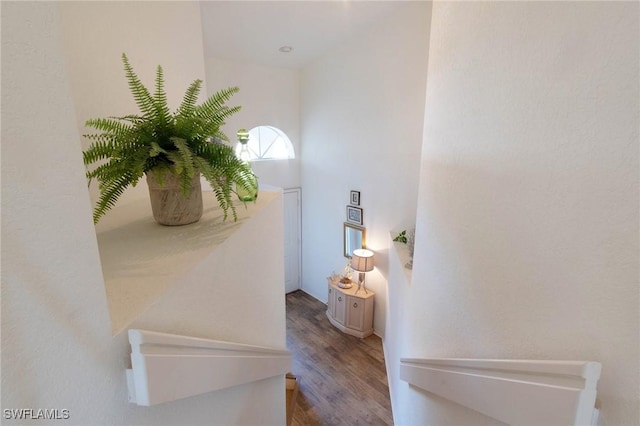 interior space featuring hardwood / wood-style floors