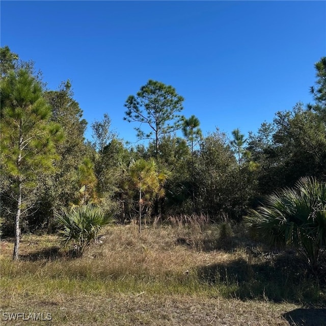 614 Clayton Ave, Lehigh Acres FL, 33972 land for sale