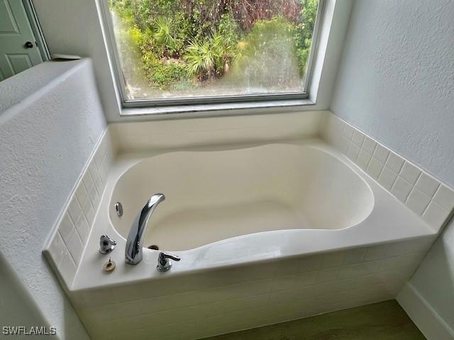 bathroom featuring a washtub and a healthy amount of sunlight